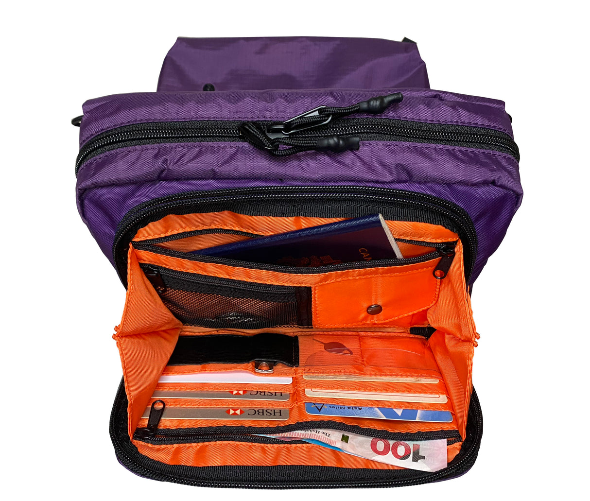 FGLA 2-in-1 Ultimate Travel Pouch